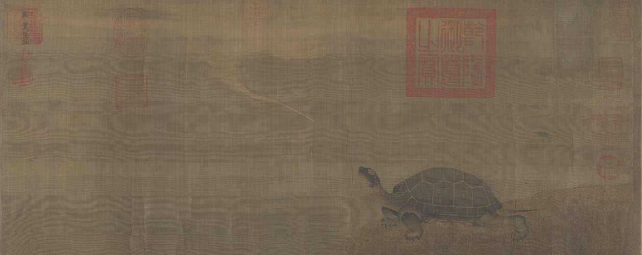 图片[1]-Picture scroll of Zhang Xuan’s tortoise-China Archive